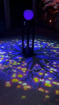 日吉大社雅楽コンサート/Night Gagaku Concert at Hiyoshi Taisha Shrine near Kyotoに投稿された画像（2025/11/28）