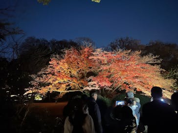 六義園に投稿された画像（2025/11/28）