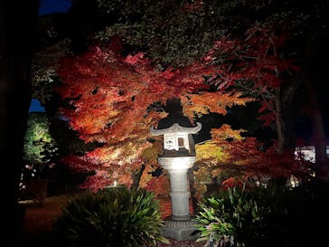 六義園に投稿された画像（2025/11/28）