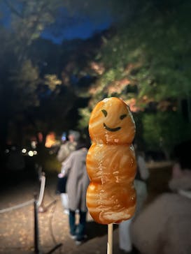 六義園に投稿された画像（2025/11/28）