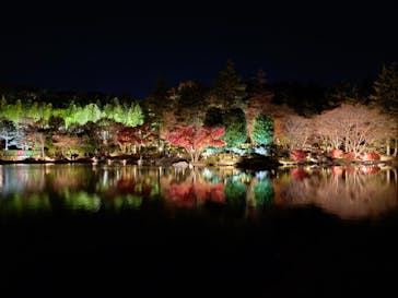国営昭和記念公園 秋の夜散歩に投稿された画像（2025/11/28）