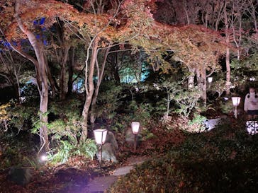 国営昭和記念公園 秋の夜散歩に投稿された画像（2025/11/28）
