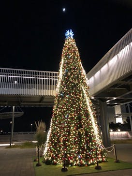 神戸みなと温泉 蓮×AQUARIUM × ART　atoaに投稿された画像（2025/11/28）