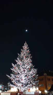 Christmas Market in 横浜赤レンガ倉庫 2025に投稿された画像（2025/11/28）