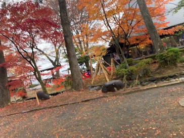 修善寺虹の郷に投稿された画像（2025/11/28）