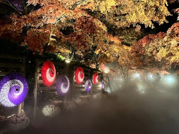 修善寺虹の郷に投稿された画像（2025/11/28）