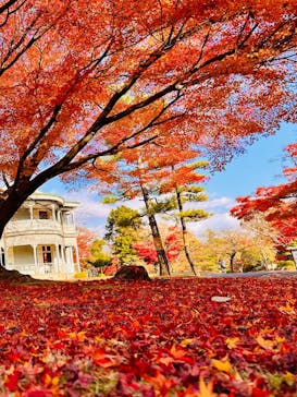 博物館 明治村に投稿された画像（2025/11/28）