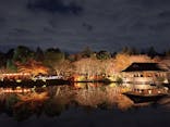国営昭和記念公園 秋の夜散歩に投稿された画像（2025/11/28）