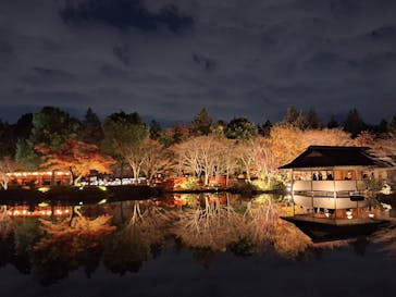 国営昭和記念公園 秋の夜散歩に投稿された画像（2025/11/28）