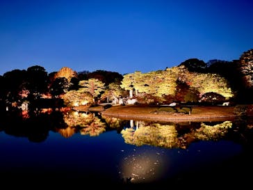 六義園に投稿された画像（2025/11/28）