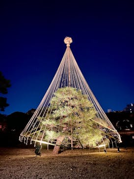 六義園に投稿された画像（2025/11/28）