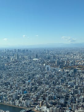 東京スカイツリーに投稿された画像（2025/11/28）