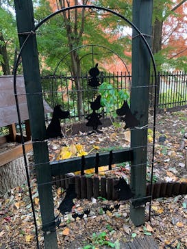 ムーミンバレーパークに投稿された画像（2025/11/28）