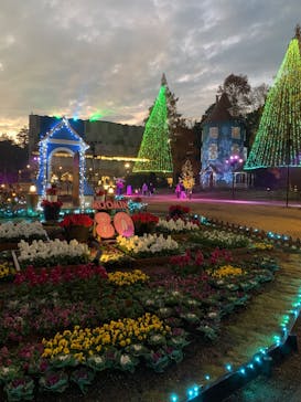 ムーミンバレーパークに投稿された画像（2025/11/28）