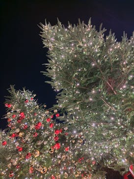 Christmas Market in 横浜赤レンガ倉庫 2025に投稿された画像（2025/11/28）