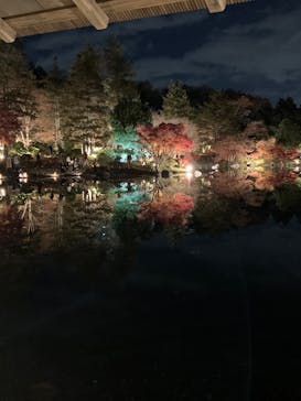 国営昭和記念公園 秋の夜散歩に投稿された画像（2025/11/28）