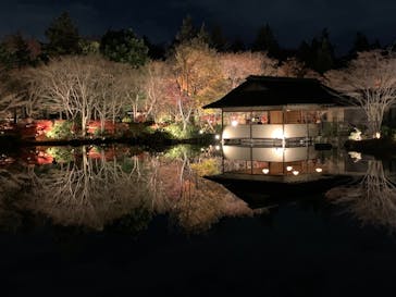 国営昭和記念公園 秋の夜散歩に投稿された画像（2025/11/28）