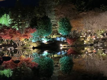 国営昭和記念公園 秋の夜散歩に投稿された画像（2025/11/28）