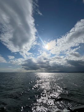 琵琶湖汽船に投稿された画像（2025/11/28）