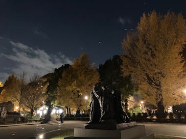 オルセー美術館所蔵 印象派―室内をめぐる物語に投稿された画像（2025/11/28）