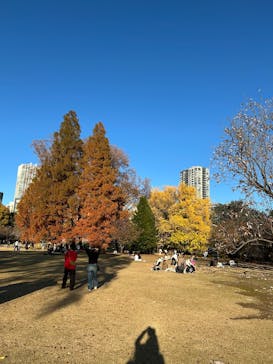 新宿御苑に投稿された画像（2025/11/28）