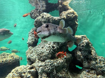 葛西臨海水族園に投稿された画像（2025/11/28）