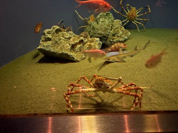 葛西臨海水族園に投稿された画像（2025/11/28）