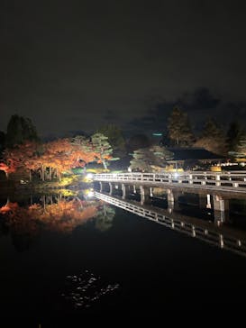 国営昭和記念公園 秋の夜散歩に投稿された画像（2025/11/28）