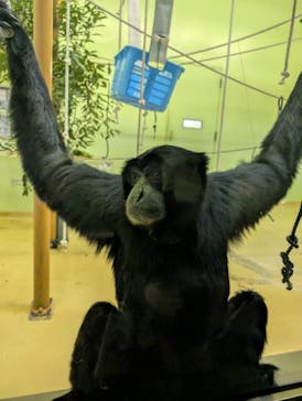 名古屋市東山動植物園に投稿された画像（2025/11/28）