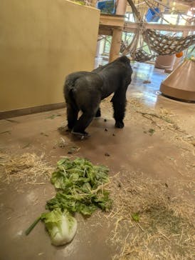 名古屋市東山動植物園に投稿された画像（2025/11/28）