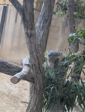 名古屋市東山動植物園に投稿された画像（2025/11/28）