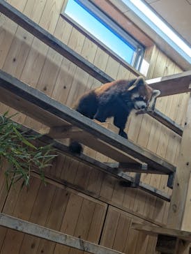 名古屋市東山動植物園に投稿された画像（2025/11/28）