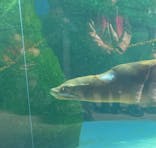 天王寺動物園に投稿された画像（2025/11/29）