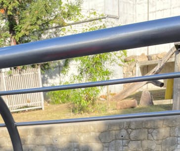 天王寺動物園に投稿された画像（2025/11/28）