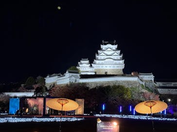 Himeji Castle of Light『DANDELION PROJECT 姫路城×NAKED, INC.』に投稿された画像（2025/11/28）