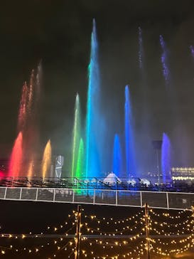 東京メガイルミに投稿された画像（2025/11/28）