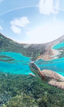 nico 宮古島に投稿された画像（2025/11/28）