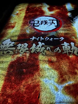 ニジゲンノモリに投稿された画像（2025/11/28）