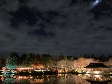 国営昭和記念公園 秋の夜散歩に投稿された画像（2025/11/28）