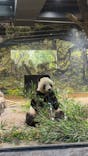 恩賜上野動物園に投稿された画像（2025/11/29）
