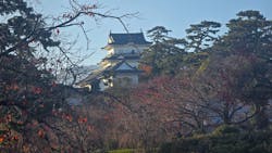 小田原城に投稿された画像（2025/11/28）