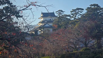 小田原城に投稿された画像（2025/11/28）