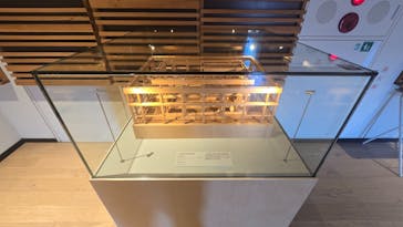 小田原城に投稿された画像（2025/11/28）