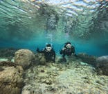 沖縄マリンサービス碧に投稿された画像（2025/11/29）