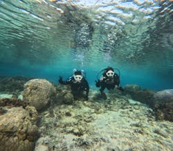 沖縄マリンサービス碧に投稿された画像（2025/11/28）