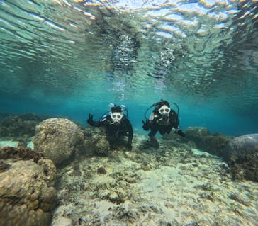 沖縄マリンサービス碧に投稿された画像（2025/11/28）