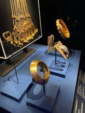 ACN ラムセス大王展 ファラオたちの黄金に投稿された画像（2025/11/29）