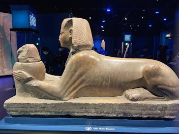 ACN ラムセス大王展 ファラオたちの黄金に投稿された画像（2025/11/29）