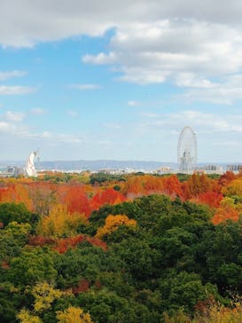 万博記念公園に投稿された画像（2025/11/29）