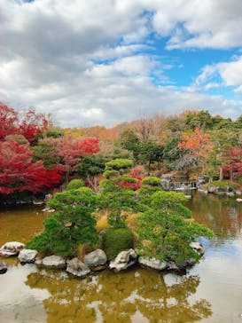 万博記念公園に投稿された画像（2025/11/29）